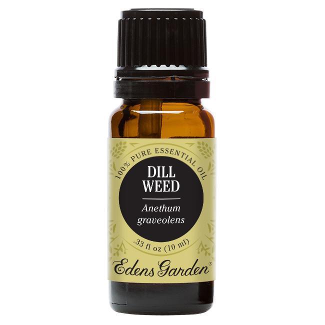 Edens Garden Dill Weed Essential Oil 10ml for tummy conditions